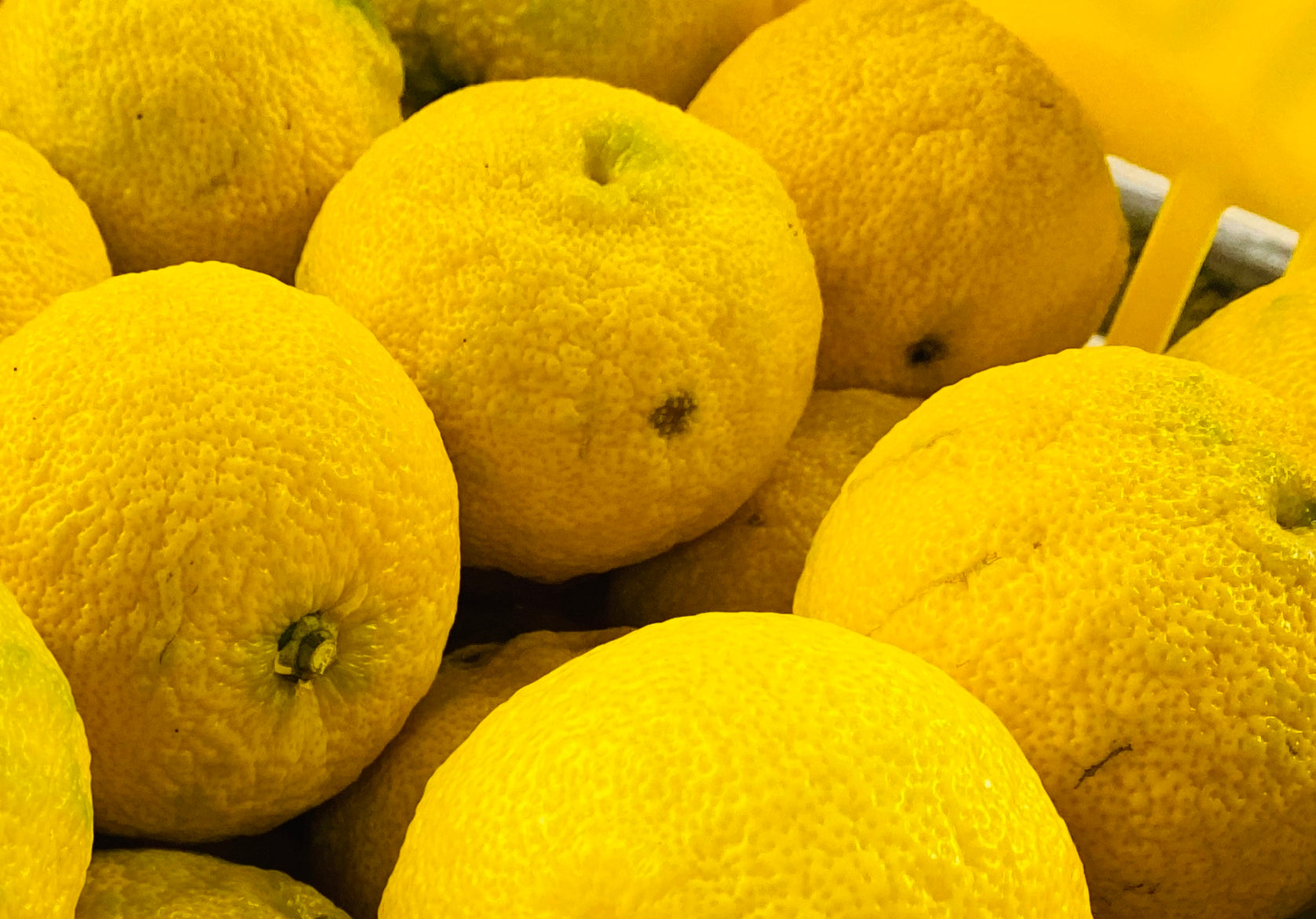 E9_96_A2_E9_87_8E_E6_92_AE_E5_