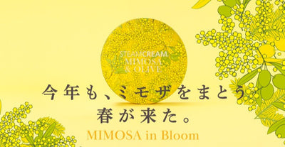 【この春も登場！】2026年1月7日（水）発売ミモザ＆オリーブシリーズ