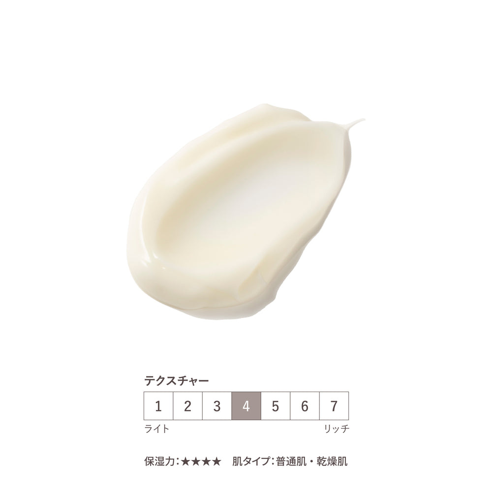 すべてのポイント交換対象商品 | 保湿 クリーム – スチームクリーム