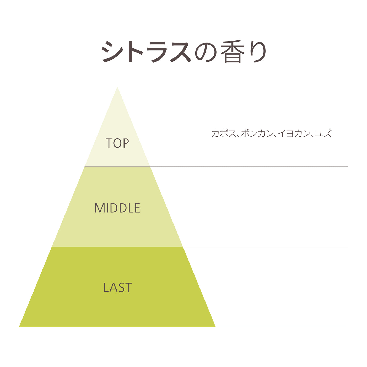 Day＆Nightセット（1085・1046）