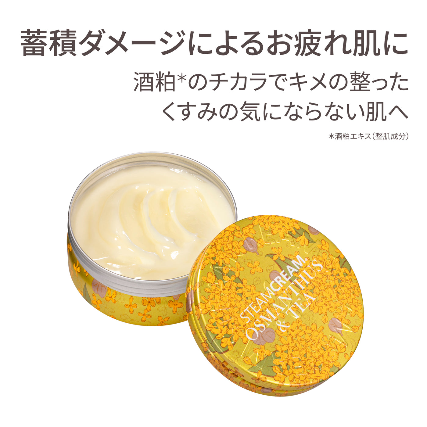 秋のDay＆Nightセット（1580・844）