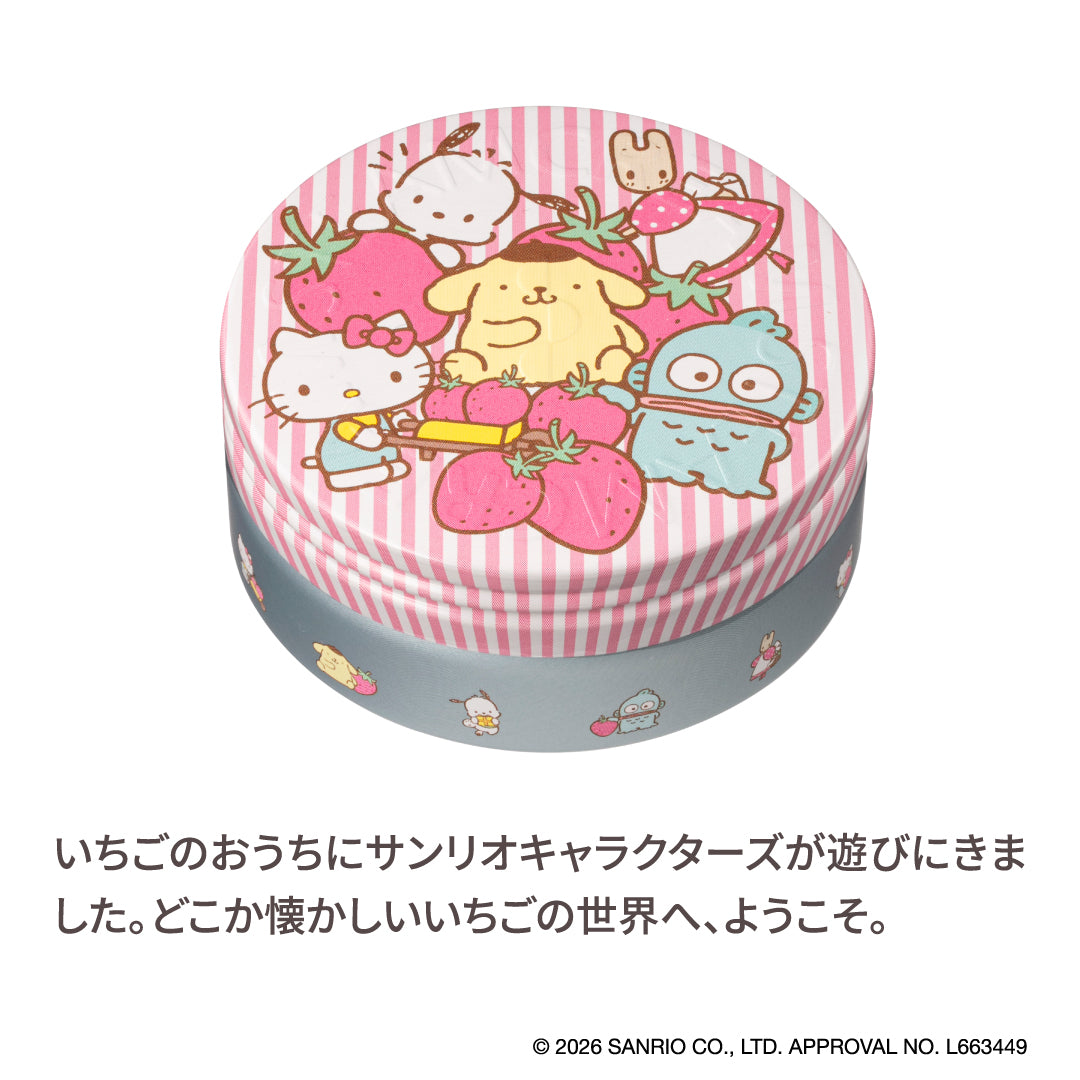 サンリオキャラクターズセット（1616・1617） – スチームクリーム公式