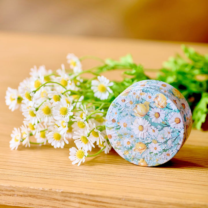 WALTZ＆BREEZEセット（1621・1622） | 保湿 クリーム – スチーム