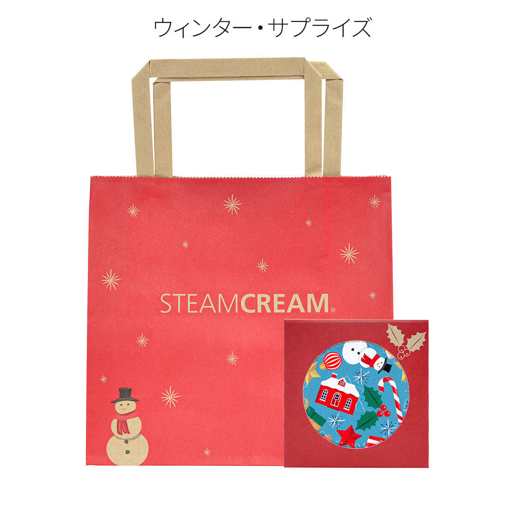デザイン選べるクリスマスBOX・ショッパー付セット