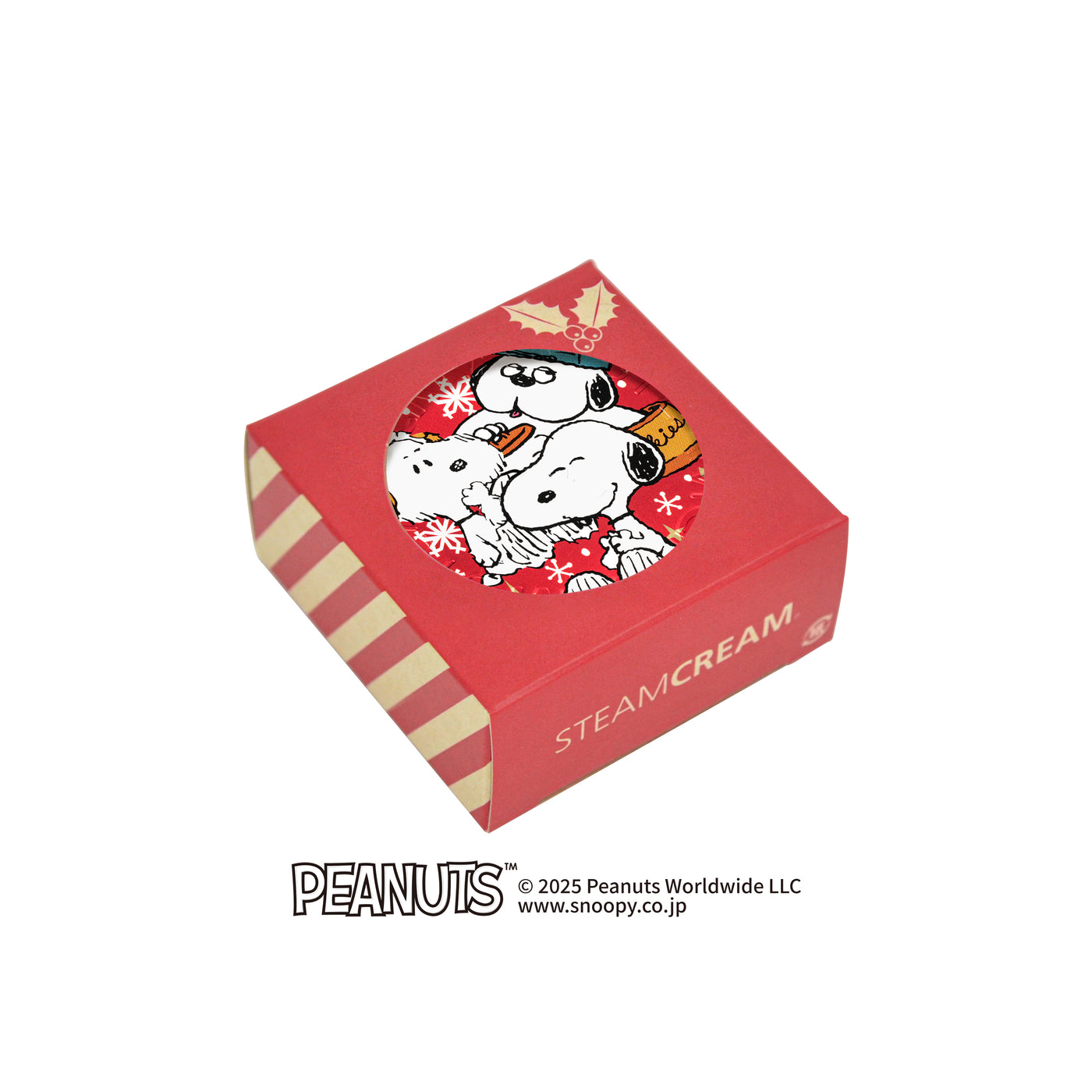 デザイン選べるクリスマスBOX・ショッパー付セット