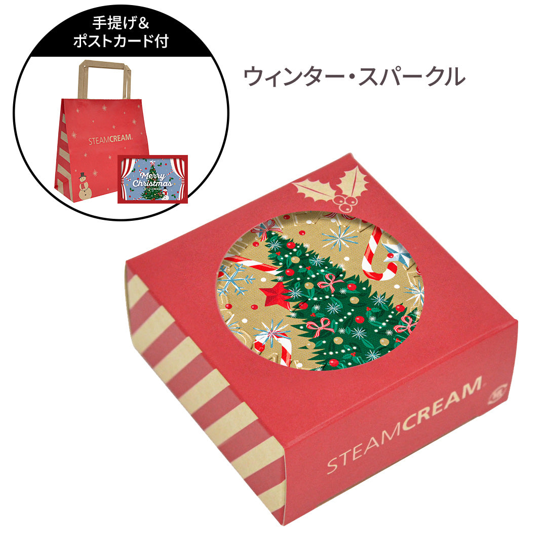 デザイン選べるクリスマスBOX・ショッパー付セット