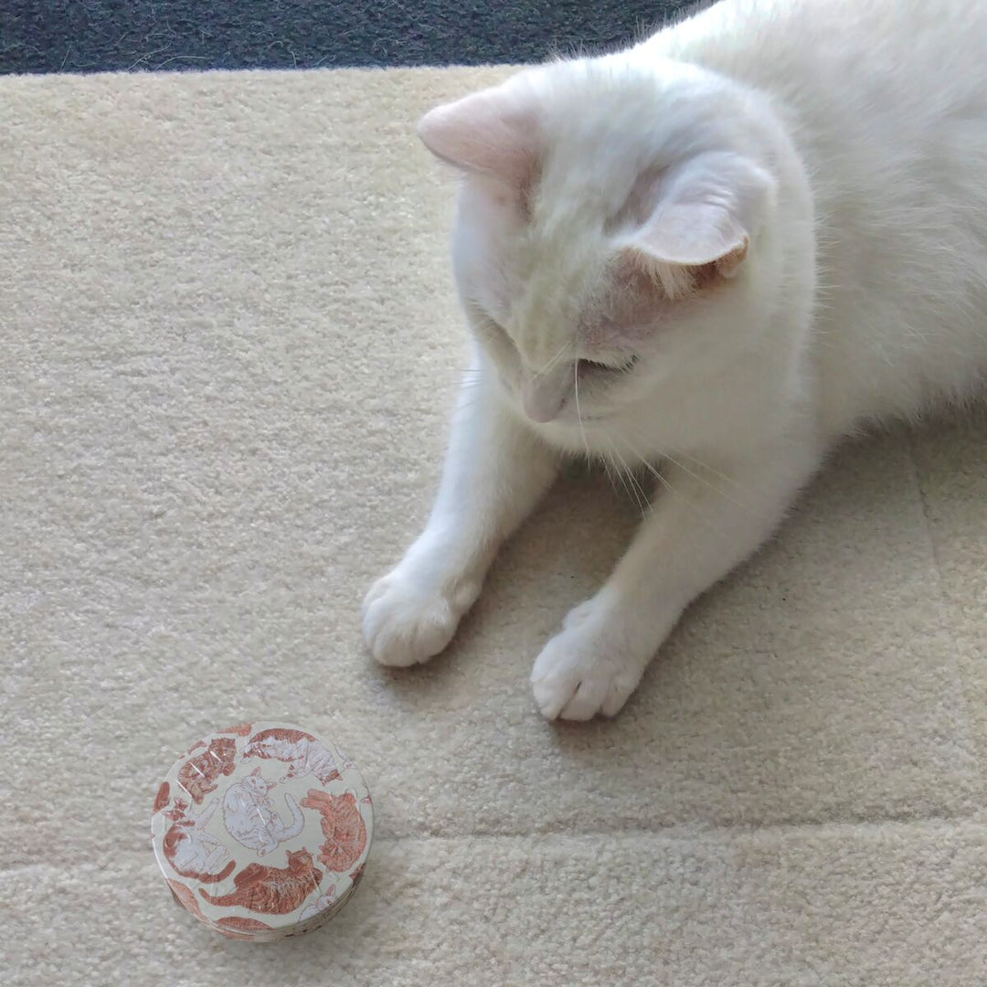 ねえ、かまって！ | 保湿 クリーム – スチームクリーム公式オンライン