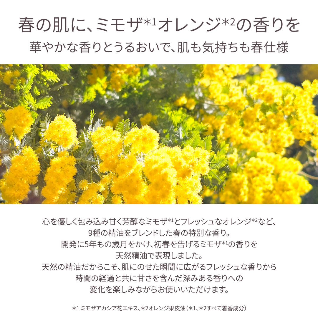 ミモザ ギフトセット（1455・GW018・帯・HZ00050021） – スチーム