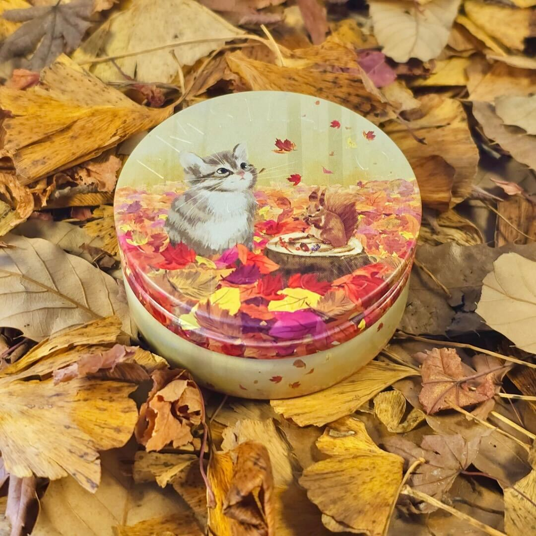 サバトラ＆小さなお友だち | 保湿 クリーム – スチームクリーム公式