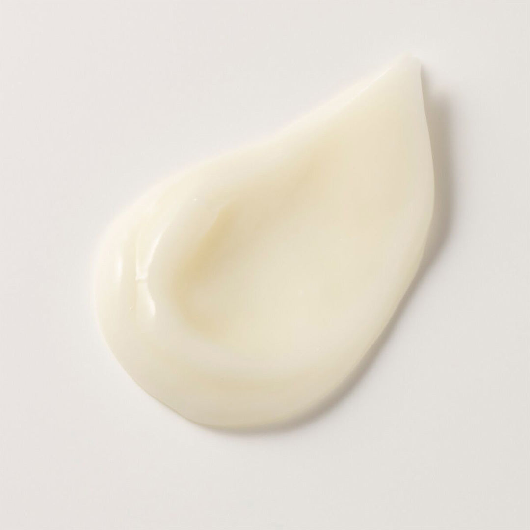 香箱座りの茶白／スチームクリーム限定デザイン缶