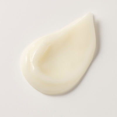 香箱座りの茶白／スチームクリーム限定デザイン缶