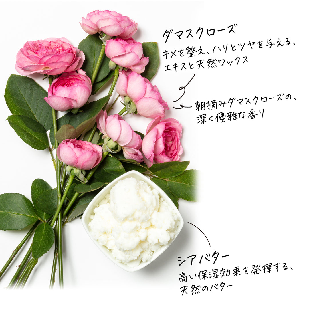 冬の贅沢保湿セット（1405・1300） – スチームクリーム公式オンライン
