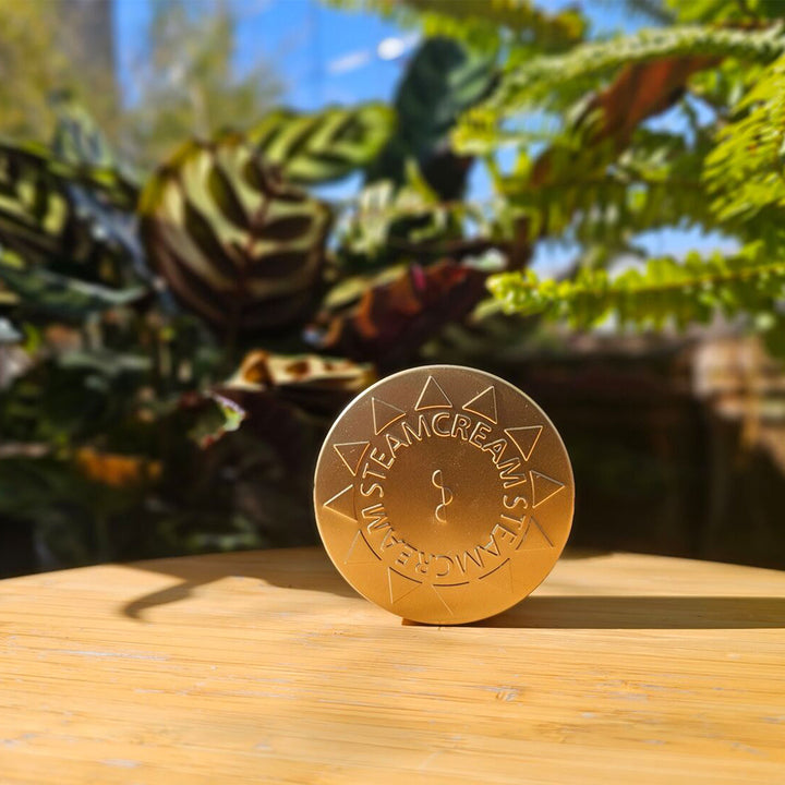 UVプロテクション 33／SPF33 PA+++ | 日やけ止め – スチームクリーム