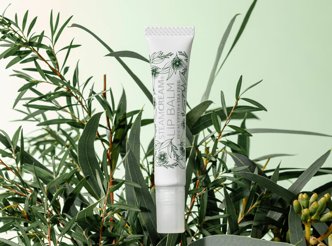 リップケア Eucalyptus Lip Balm 0.15 oz Burt's Bees 100% Natural Origin Rescue Lip Balm, Cooling